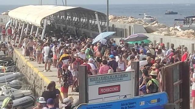 Imagen de la dársena del puerto de Tabarca este sábado por la tarde.