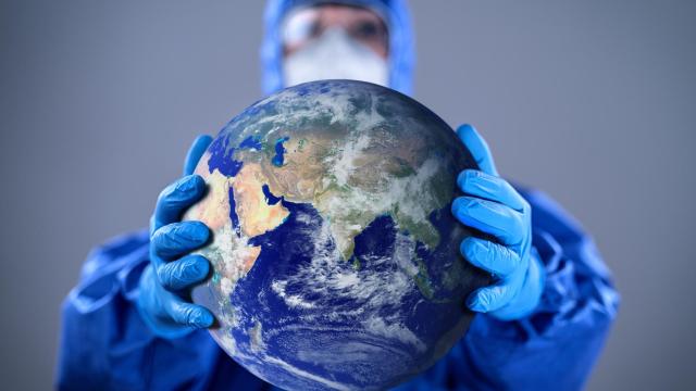 Las pandemias y el medioambiente.