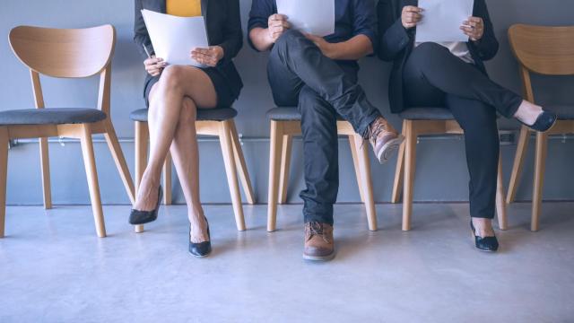 empleo inserción laboral trabajo