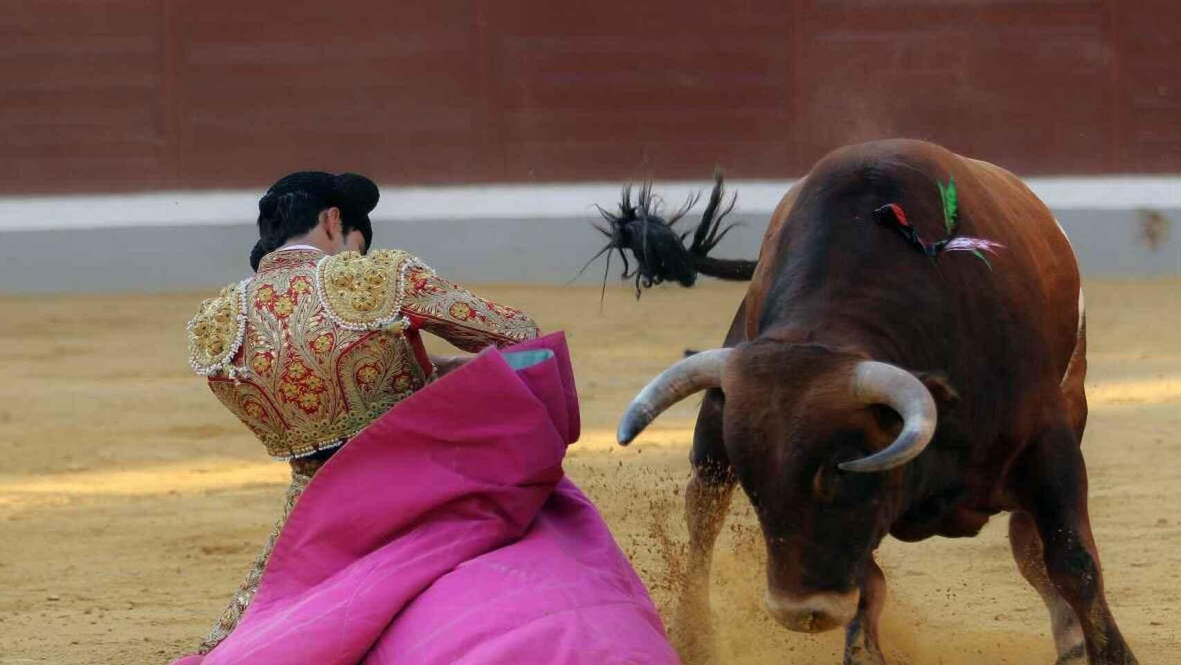 Castilla-La Mancha celebró 305 festejos en plazas en 2024.