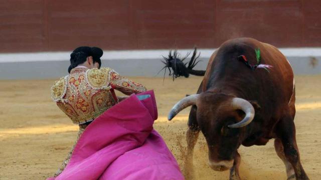 Castilla-La Mancha celebró 305 festejos en plazas en 2024.