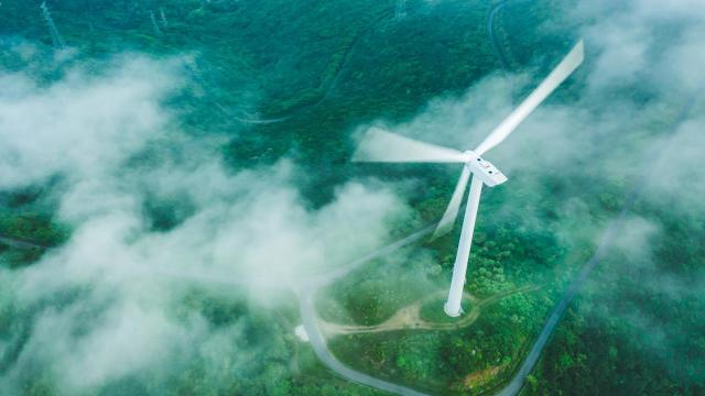 En 2020 el Día Día de la Sobrecapacidad de la Tierra fue el 22 de agosto. Este año, el 29 de julio.