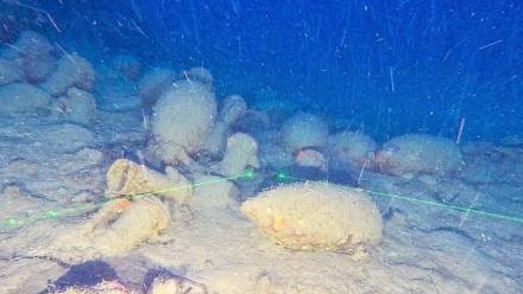 Imagen de las ánforas del barco romano tomada por el robot subacuático.