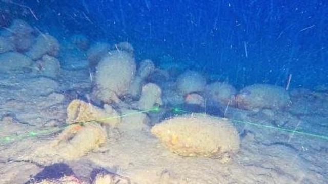 Imagen de las ánforas del barco romano tomada por el robot subacuático.