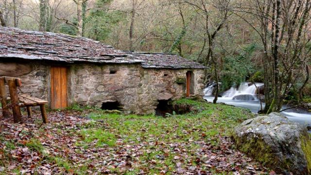 Ruta dos Tres Ríos (Foto: Turismo de Santiago)