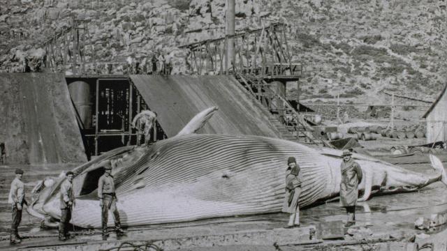 Factoría de Caneliñas