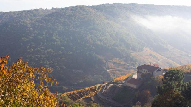 Imagen de archivo de la Ribeira Sacra.