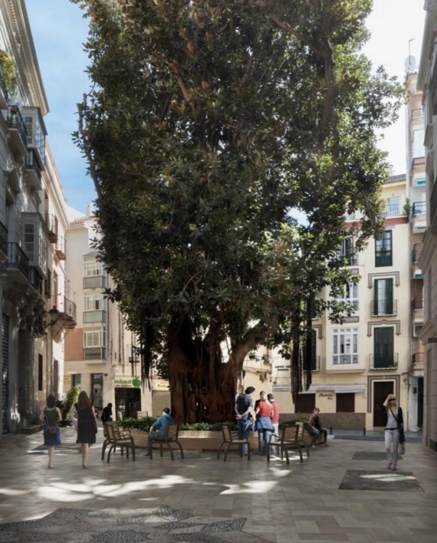 Intervención prevista en la Plaza del Teatro.