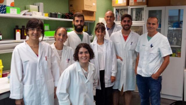 Investigadores del Departamento de Biología y del Instituto Universitario de Investigaciones en Ciencias de la Salud (IUNICS) de la Universidad de las Illes Balears, el Instituto de Investigación Sanitaria de las Islas Baleares (IdISBa), impulsores de la investigación..