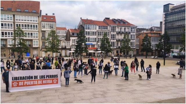 Concentración en Armas