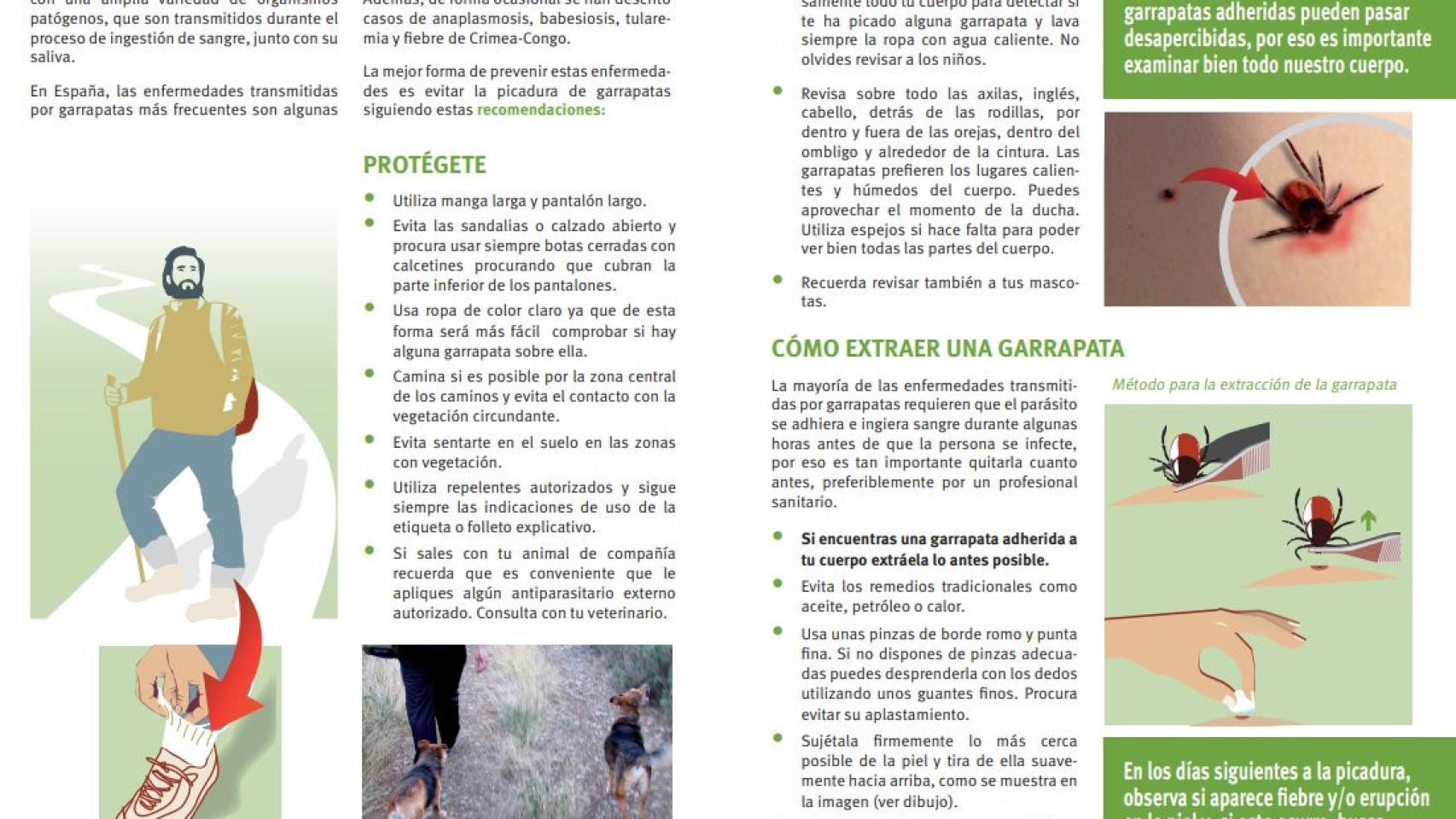 Garrapata 2