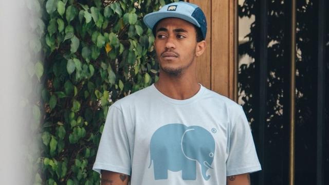 La firma Trendsplant quiere salvar el futuro de los elefantes.