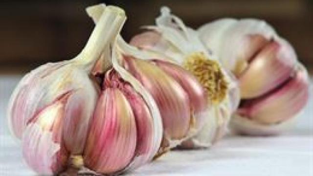 Los principales productores de ajo de Andalucía se plantean fugarse a Castilla-La Mancha