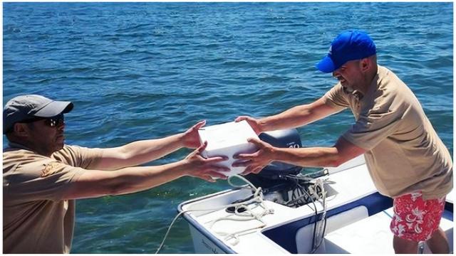 La carnicería entrega directamente en su lancha.