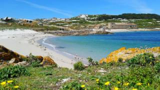 Playa de Sálvora (Foto: Cruceiros Rías Baixas)