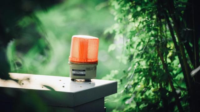Una luz roja de emergencia, en un entorno natural. Foto: Lucas Law / Unsplash.