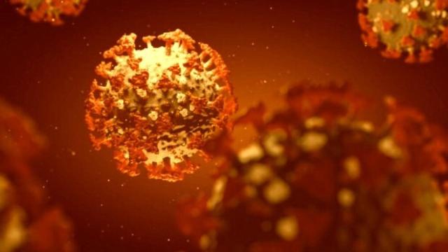 El futuro de los seguros en tiempos de Covid: incertidumbre y oportunidad