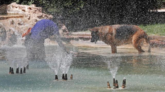 Máximas de 45 grados en Orihuela en el pico de la ola de calor.