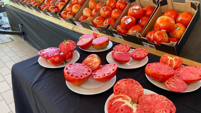 Varias de las cajas de tomate huevo de toro.