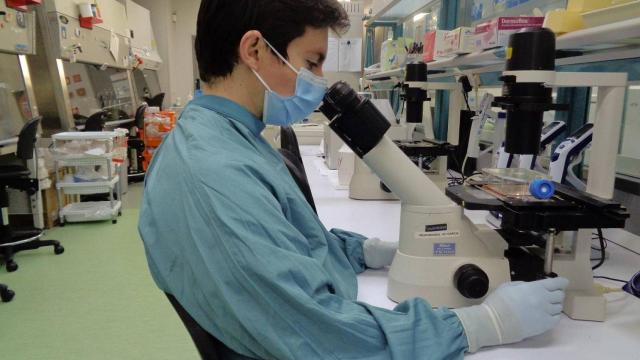 Los investigadores han analizado los niveles de anticuerpos neutralizantes, es decir, con efecto protector, en más de 300 personas que se han infectado por el SARS-CoV-2. / IrsiCaixa