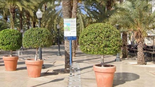 Localización de la etiqueta en la Explanada, frente a la Casa Carbonell