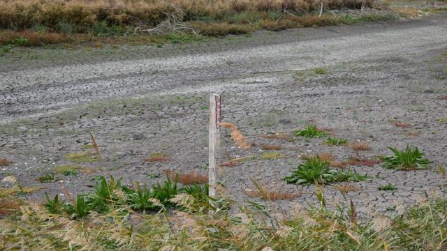 Piden soluciones urgentes para Las Tablas de Daimiel: Solo tiene agua un 3 % de la superficie