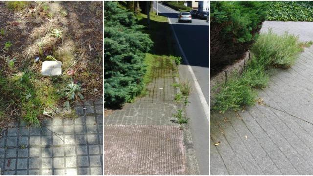 Una madriguera tapada a la izquierda y maleza en el barrio de Elviña.