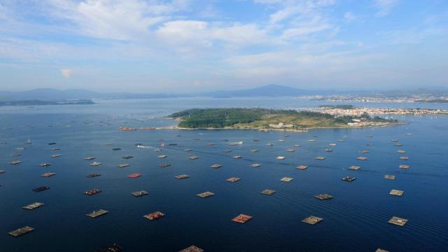 Panorámica de bateas en la ría de Arousa.