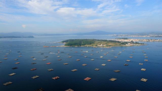 Panorámica de bateas en la ría de Arousa.