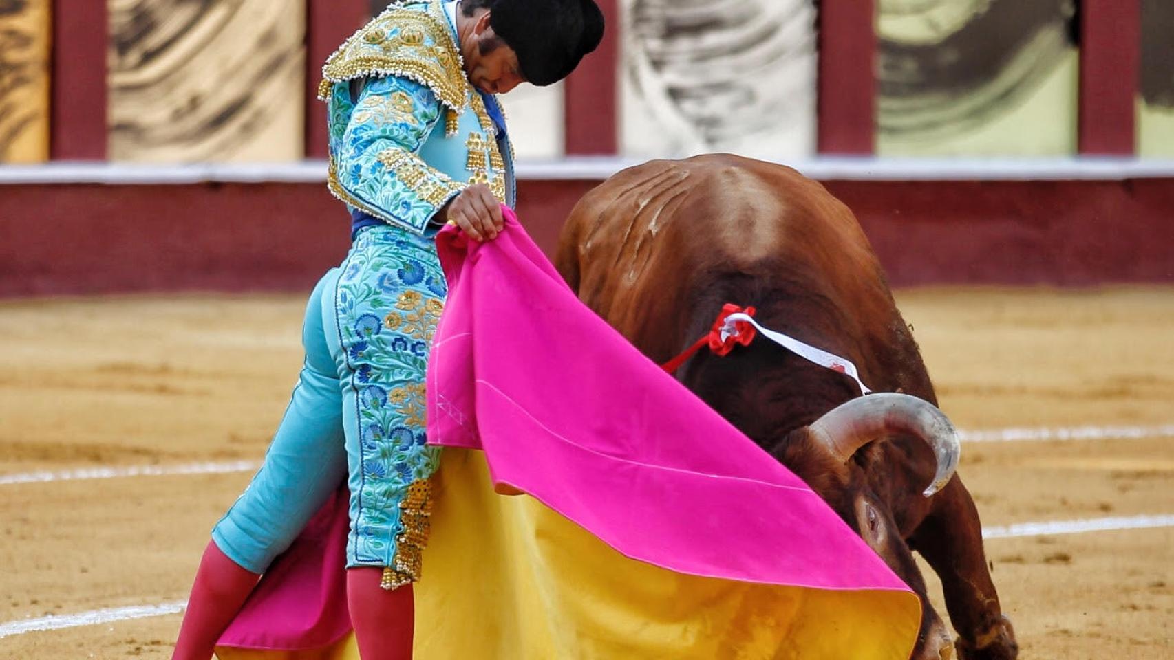 Corrida Picassiana en Málaga