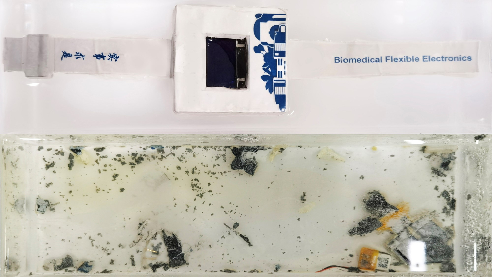 El reloj inteligente que se disuelve en agua