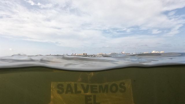 Un informe demuestra que el trasvase ha sido letal para el Mar Menor: Es el origen de su muerte