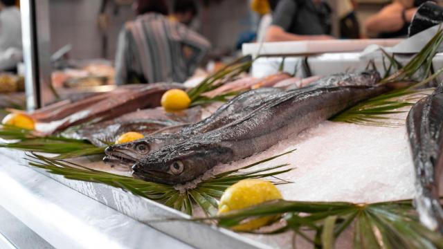Merluza en la plaza de abastos de Viveiro