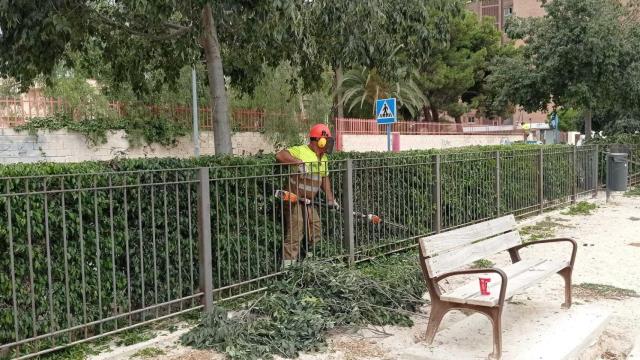 Adecuación parque canino de la calle Cronista Vicente Morellá.