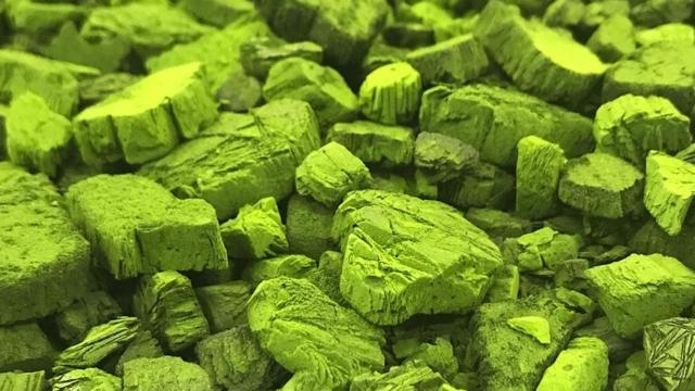 Biomasa de microalgas