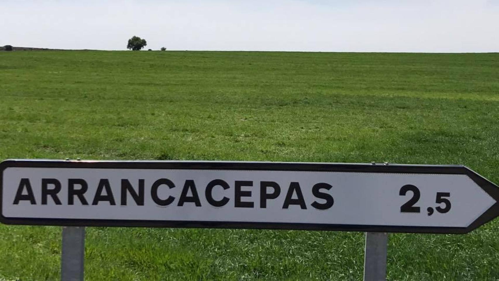 Arrancacepas (Cuenca).