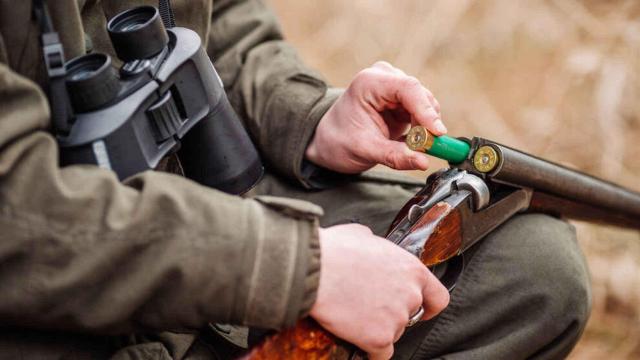 580955669_188042696_1706x960