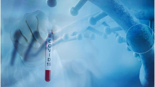 Coronavirus, Covid-19.