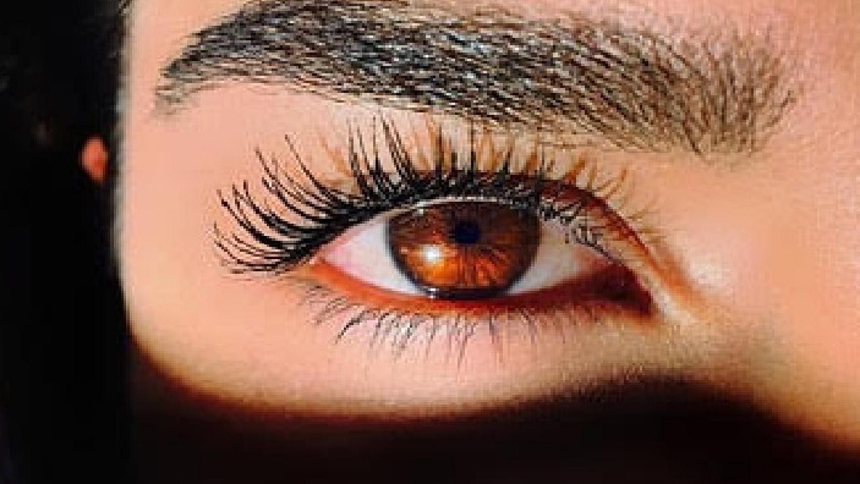 Hay que cepillar las cejas a diario.