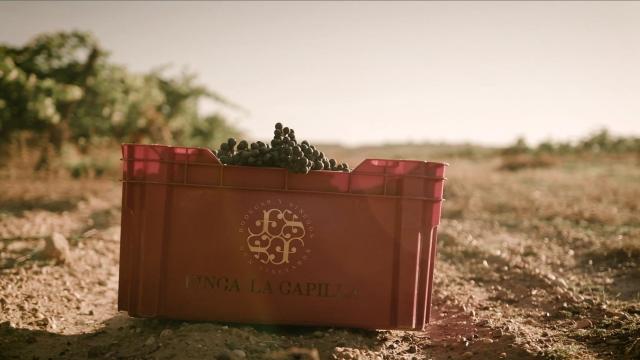 50+1 año de la fundación de Marqués de Cáceres