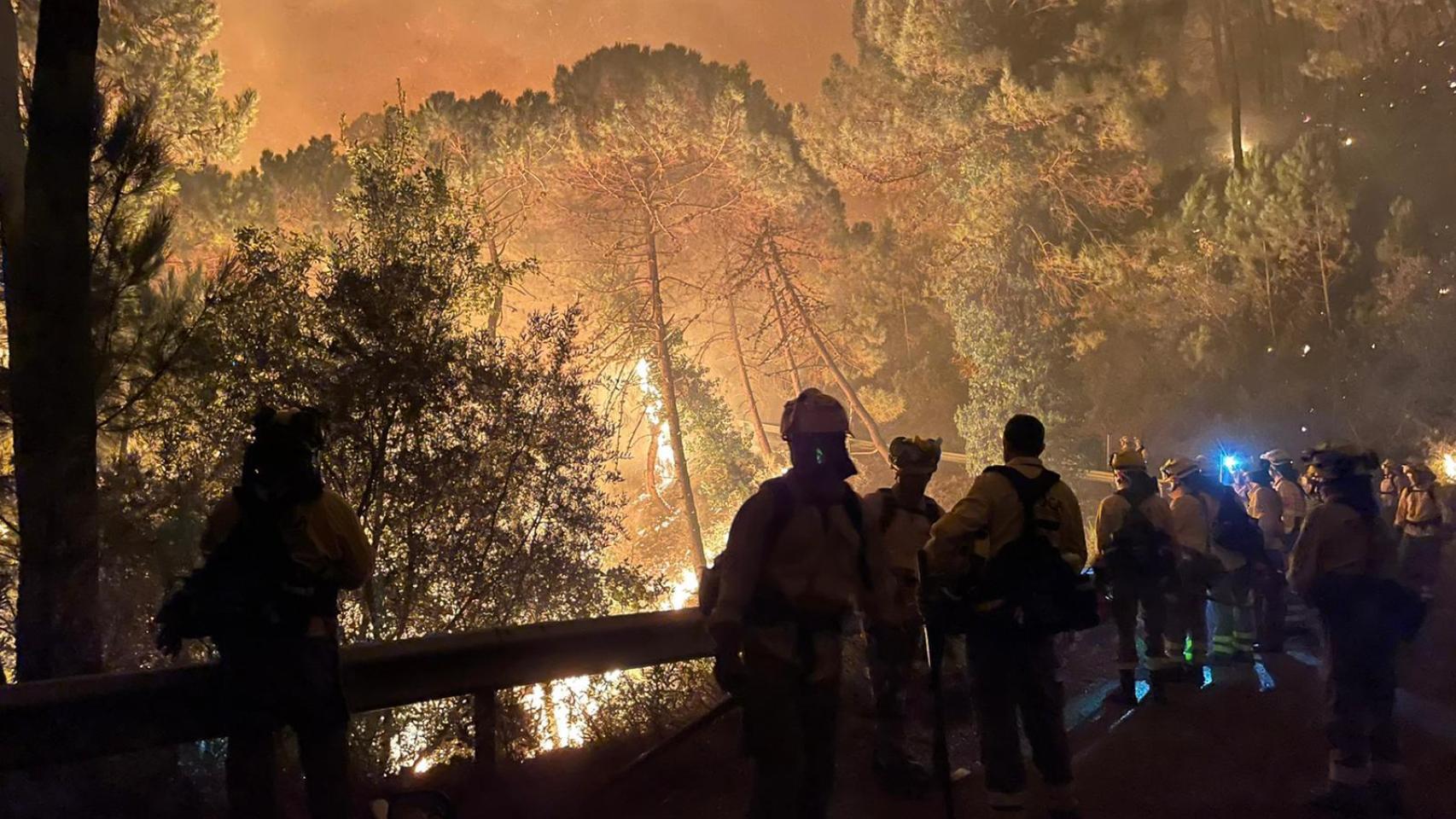Efectivos del Infoca intentan apagar el incendio en Sierra Bermeja (Málaga).