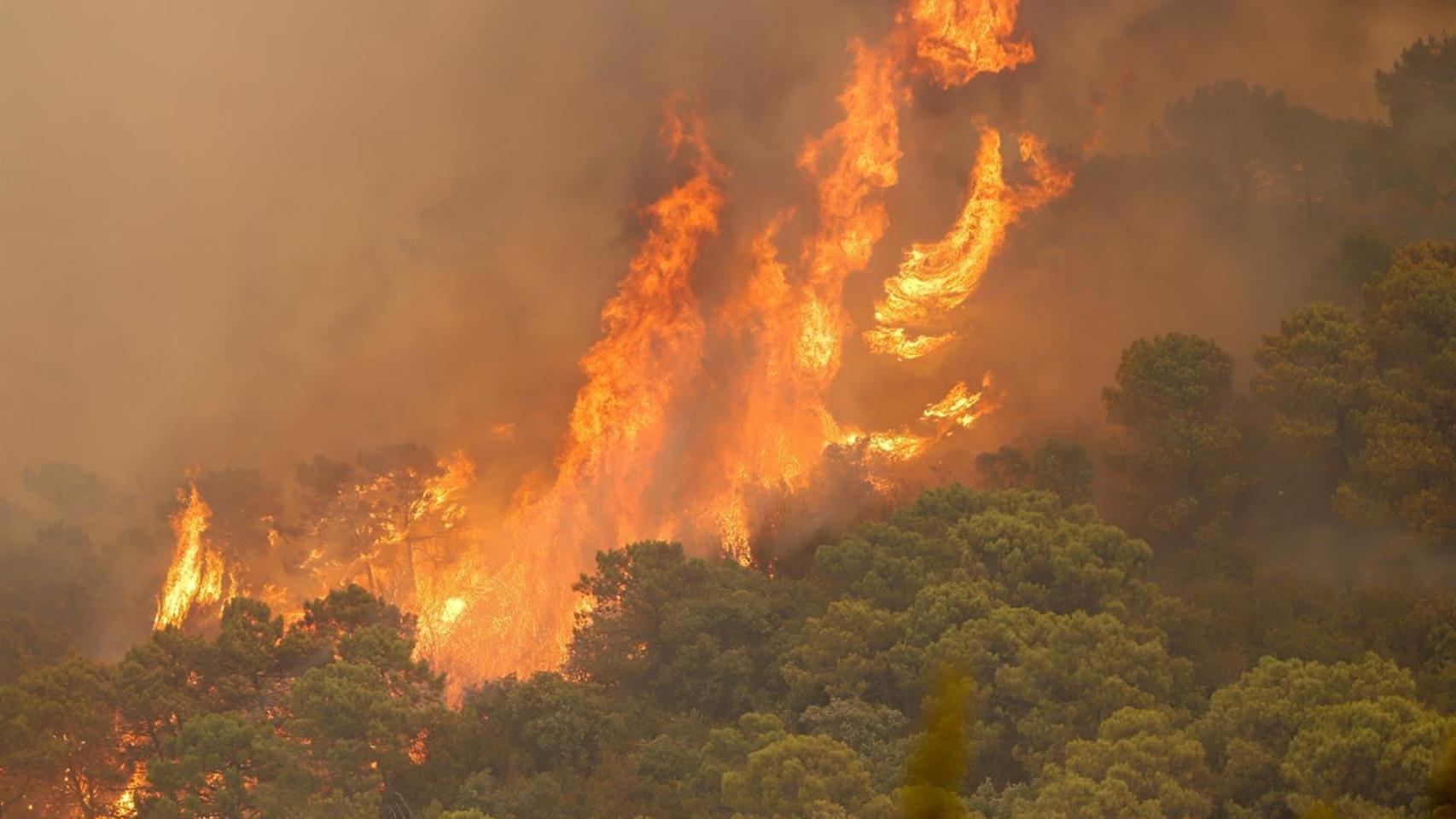 Imagen del incendio en Sierra Bermeja, en Málaga.