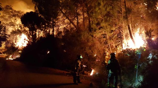 Bomberos, en tareas de extinción del fuego.