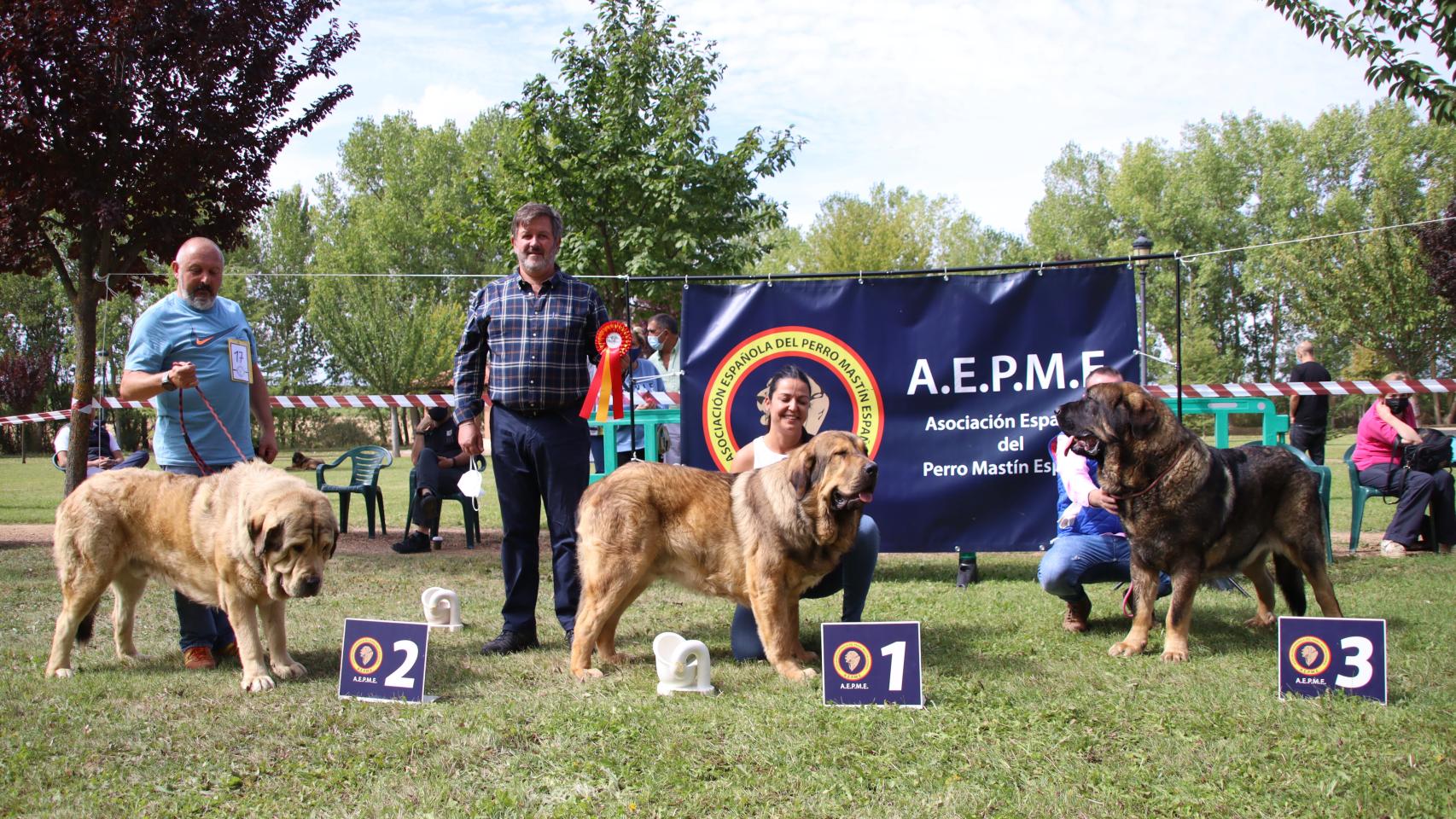 PERRO CONCURSO (3)