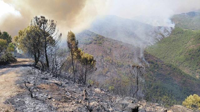 Imagen de la zona quemada por el incendio de Sierra Bermeja.