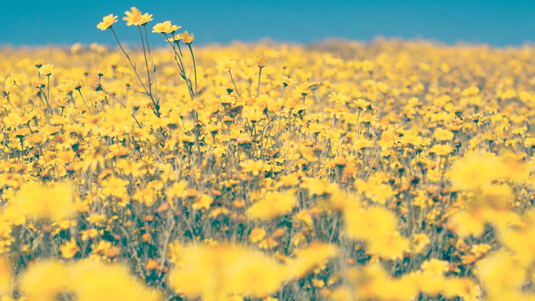 Foto de Tim Mossholder en Pexels