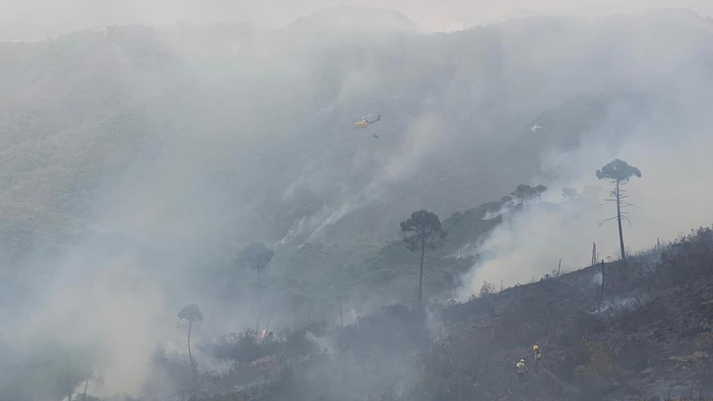 Una zona del incendio ya extinguida.