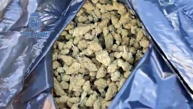 Marihuana en Antequera