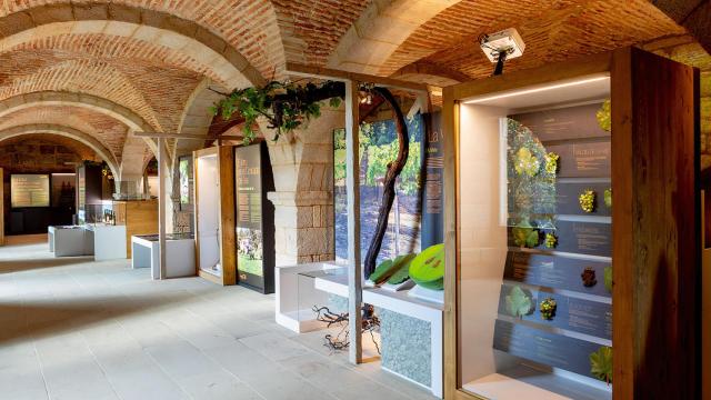 Museo de la Ciencia del Vino.