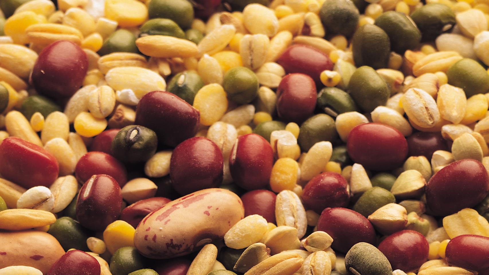 Fibra alimentaria.